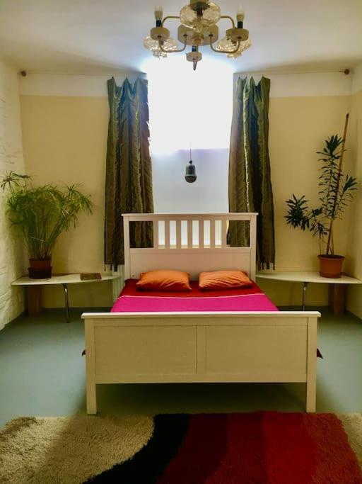 Vintage Studio Apartment, Garden And Free Parking Budapest Luaran gambar