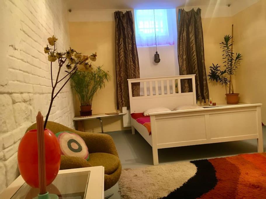 Vintage Studio Apartment, Garden And Free Parking Budapest Luaran gambar