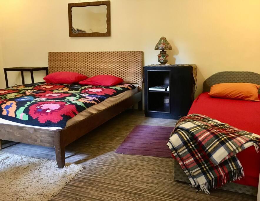 Vintage Studio Apartment, Garden And Free Parking Budapest Luaran gambar