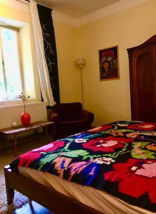 Vintage Studio Apartment, Garden And Free Parking Budapest Luaran gambar