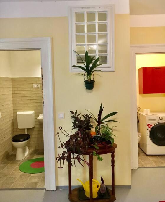 Vintage Studio Apartment, Garden And Free Parking Budapest Luaran gambar