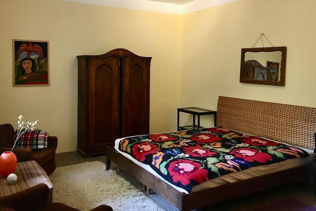 Vintage Studio Apartment, Garden And Free Parking Budapest Luaran gambar