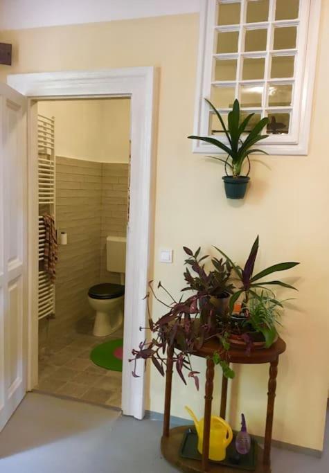 Vintage Studio Apartment, Garden And Free Parking Budapest Luaran gambar